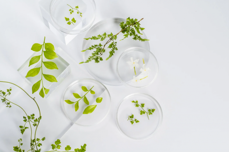 Greenbioactive--800x531.png